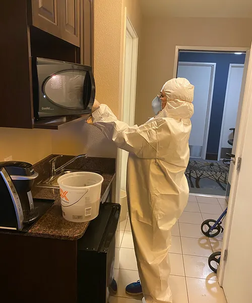 COVID-19 Disinfecting Services in ABA 